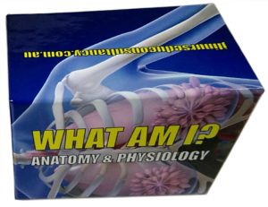 Card Game - What Am I? Anatomy & Physiology